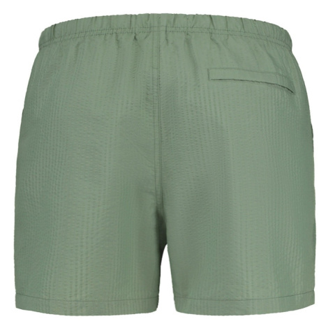 Shiwi Plavecké šortky  trávovo zelená