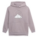 Dievčenská turistická mikina s kapucňou 4F JUNIOR SWEATSHIRT F277-52S-LIGHT VIOLET