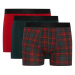 DEFACTO Regular Fit 3-Piece Boxer