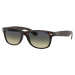 Ray-Ban RB2132 894/76 - (52-18-145)