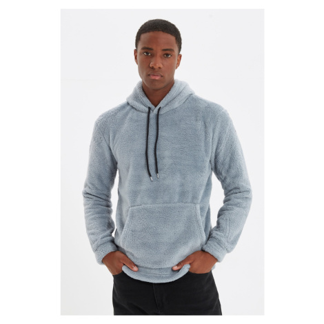 Trendyol Grey Regular/Normal Cut Hooded Warm Plush Sweatshirt