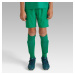 Detské futbalové šortky Viralto Club zelené