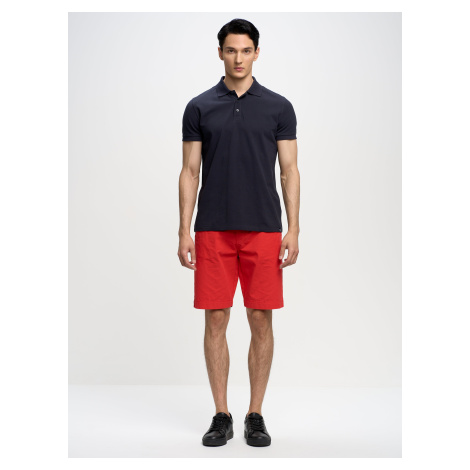 Big Star Man's Bermuda shorts Shorts 111296-603