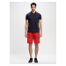 Big Star Man's Bermuda shorts Shorts 111296-603