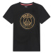 Paris Saint Germain pánske tričko Stripe Logo black