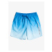 Quiksilver šortky Everyday Warped Logo Volley snorkel blue