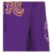 Mitchell & Ness NBA LA Lakers Team Origins Fleece Purple - Pánske - Mikina Mitchell & Ness - Fia