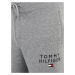 Tommy Hilfiger Underwear Pyžamové nohavice  námornícka modrá / sivá melírovaná / červená / biela