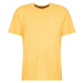 Pepe jeans  PM508536 | Treyson  Tričká s krátkym rukávom Žltá
