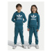 Adidas Tepláková súprava adicolor IY4789 Tyrkysová Regular Fit