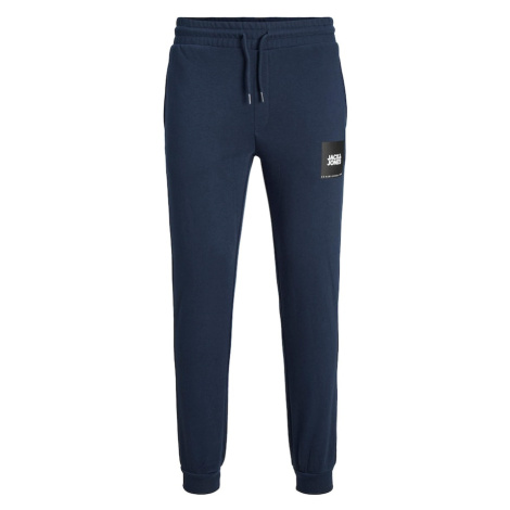 Pánske tepláky Jack & Jones