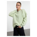 Trendyol Mint Regular/Normal Pattern Square Stitched Thick Inside Fleece Knitted Sweatshirt