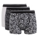 DEFACTO Regular Fit Patterned 3-Piece Boxer