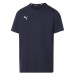 Puma Pánske tričko TeamGoal 23 Casual (kráľovská modrá)