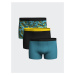 LC Waikiki Standard Mold Flexible Fabric Men's Boxer 3-Piece