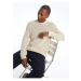 LC Waikiki Crew Neck Long Sleeve Men's Knitwear Sweater