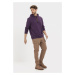 Mikina Camel Active Hoodie Sweatshirt Lavender