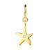 Prívesok na náramok zo 14K zlata - hviezdica s čírym zirkónom, pérový krúžok