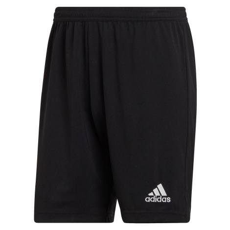 Pánske športové kraťasy a šortky Adidas