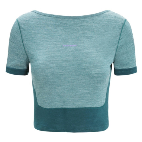 ICEBREAKER Funkčné tričko 'ZoneKnit'  smaragdová / zelená melírovaná / pastelovo fialová Icebreaker Merino
