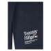 Tommy Hilfiger Športové kraťasy KB0KB08119 D Modrá Regular Fit