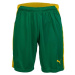Puma KC LIGA SHORTS Pánske futbalové šortky, zelená, veľkosť
