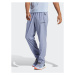 Adidas Teplákové nohavice Terrex LiteFlex Tracksuit Bottoms HS5895 Fialová Regular Fit