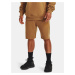 Under Armour Shorts UA ORIGINATORS SHORT-BRN - Men