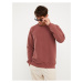 LC Waikiki Crew Neck Long Sleeve Men's Sweatshirt