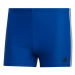 ADIDAS PERFORMANCE Športové plavky - spodný diel  kráľovská modrá / biela