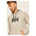 Mikina Helly Hansen HH LOGO HOODIE 33977