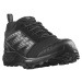 Salomon Wander GTX W