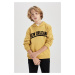 DEFACTO Boy Printed Hooded Thick Sweatshirt