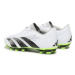 Adidas Futbalové topánky Predator Accuracy.4 Flexible Ground Boots GZ0013 Biela