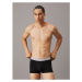 Pánske boxerky CALVIN KLEIN 3 PACK-LOW RISE TRUNK-B- BLK, HEMISPHERE BL, ASH WBS