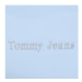 Tommy Jeans Kabelka Tjw Must Camera Bag AW0AW14955 Modrá
