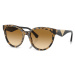 EMPORIO ARMANI EA4140 60593B - M (55-19-140)