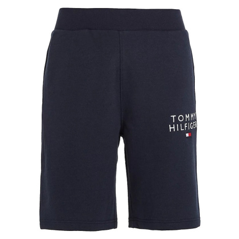 Pánske športové kraťasy a šortky Tommy Hilfiger
