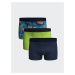 LC Waikiki Standard Mold Flexible Fabric Men's Boxer 3-Piece