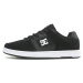 DC Shoes Manteca 4