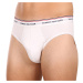 3PACK pánske slipy Tommy Hilfiger viacfarebné (1U87903766 004)