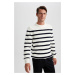 DEFACTO Standard Fit Striped Crew Neck Sweater