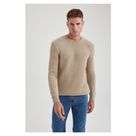 DEFACTO Standard Fit Regular Cut Crew Neck Knitwear Sweater