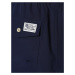 Polo Ralph Lauren Plavecké šortky 'TRAVELER'  námornícka modrá / červená