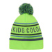 Detská zimná čiapka COLOR KIDS Hat - Logo CK-2144-Green Gecko