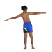 Chlapčenské plavecké šortky speedo colourblock 13 watershort boy