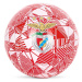 SL Benfica futbalová lopta Big Logo