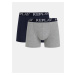 Set of two boxers in dark blue and gray Replay - Men