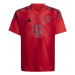 Domáce tričko Adidas Bayern Mníchov IT2249