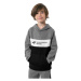 Chlapčenská mikina s kapucňou 4F JUNIOR BOYS SWEATSHIRT JBLM003-24M-MIDDLE GREY MELANGE